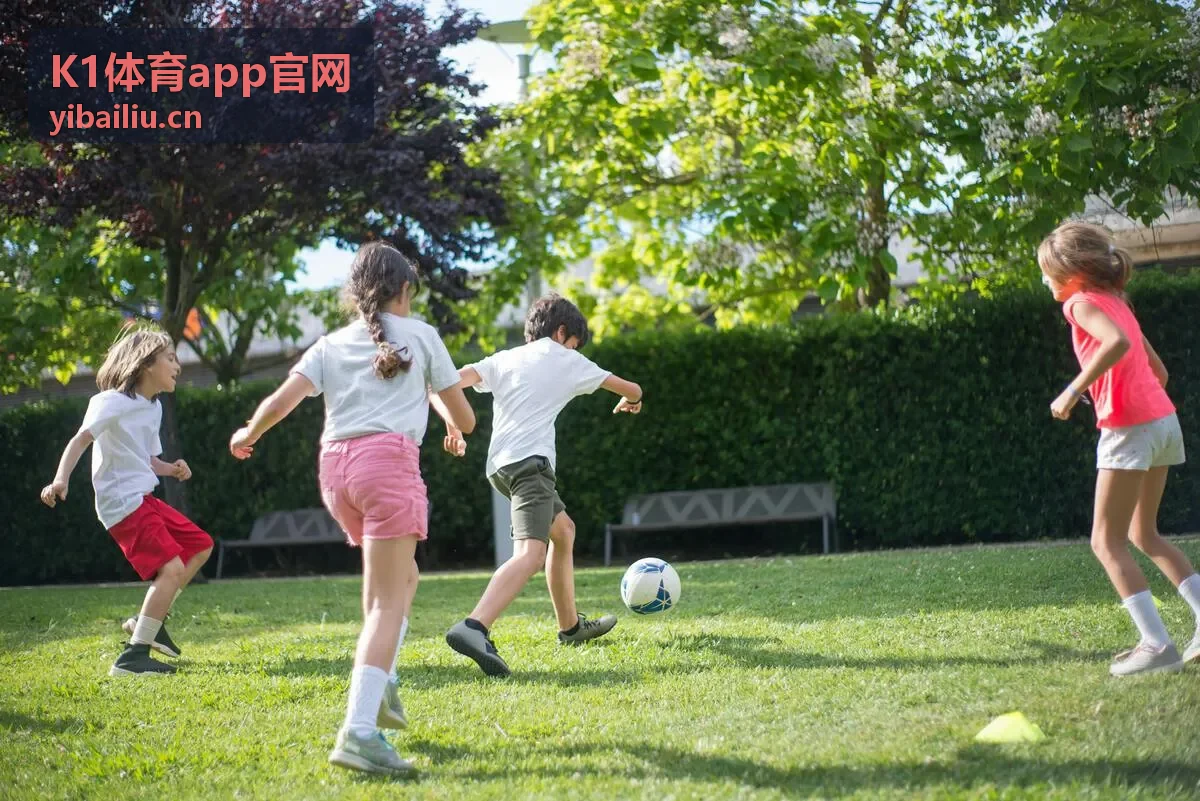 K1体育app官网 - 世界杯附加赛生死战：最后的门票争夺战全面解析